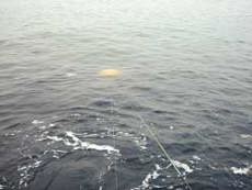 ����N���Q