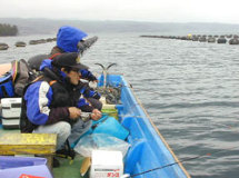 ���ʔ���Ƃ��񂲂₳��