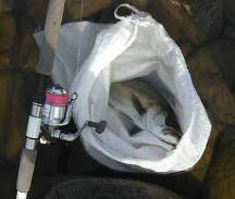 �V�|�o�X�މ�