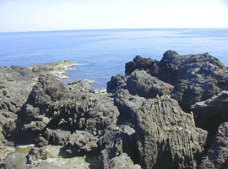 ��蓇��[������