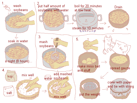 illustration: How to make homemade miso